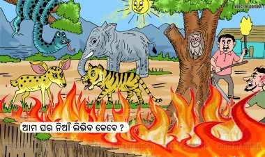 ଜଳୁଛି ଜଙ୍ଗଲ, ବିପଦରେ ବନ୍ୟଜନ୍ତୁ