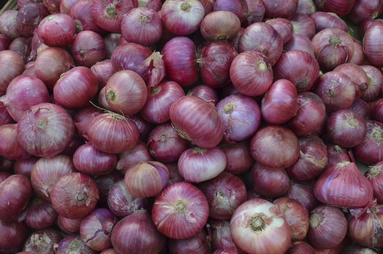 ପିଆଜ ସମ୍ପର୍କରେ ବଡ଼ ସୂଚନା ଦେଲେ କୃଷିମନ୍ତ୍ରୀ