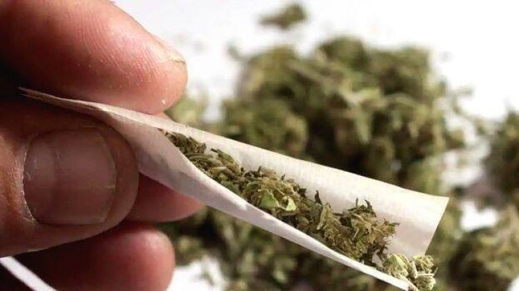 ୧୨୪୮ କେଜି ଗଞ୍ଜେଇ ଜବତ