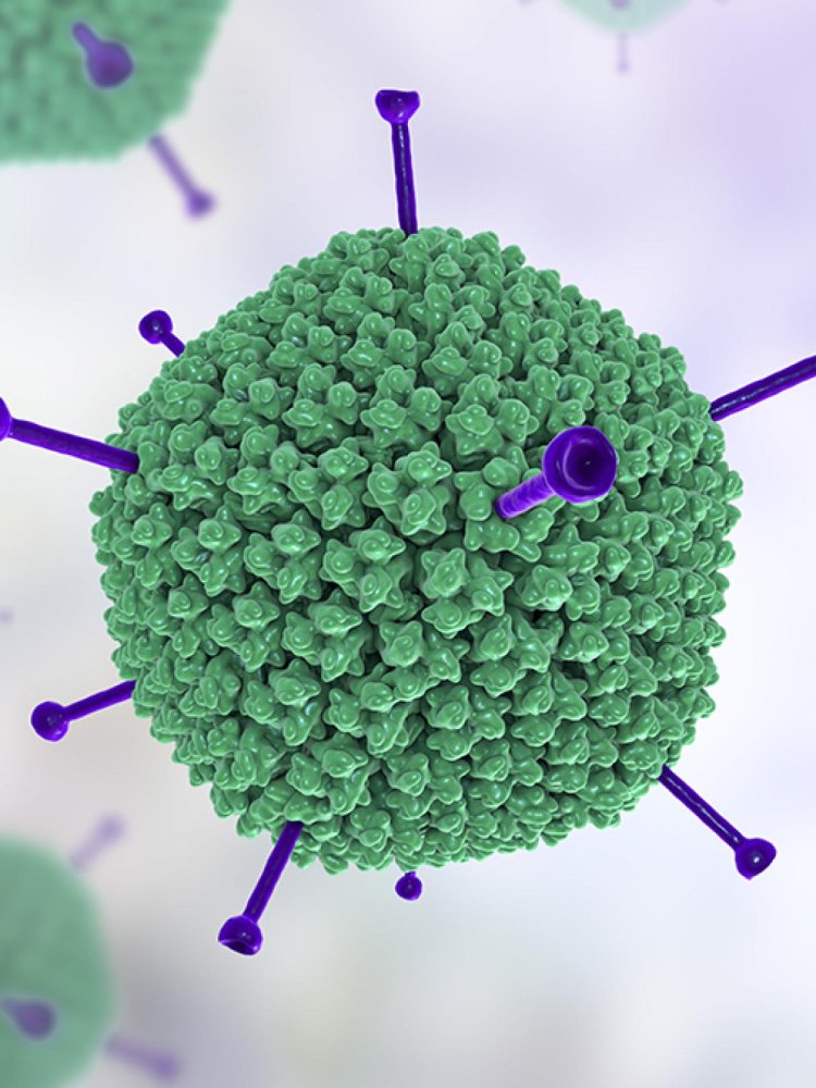 ମାଡୁଛି ଆଡେନୋଭାଇରସ୍‌ :୯ ଦିନରେ ୪୦ ଶିଶୁ ମୃତ