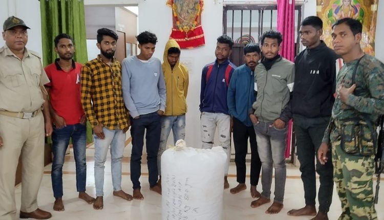 5 College Students Among 8 Held Over Ganja Trafficking in Koraput