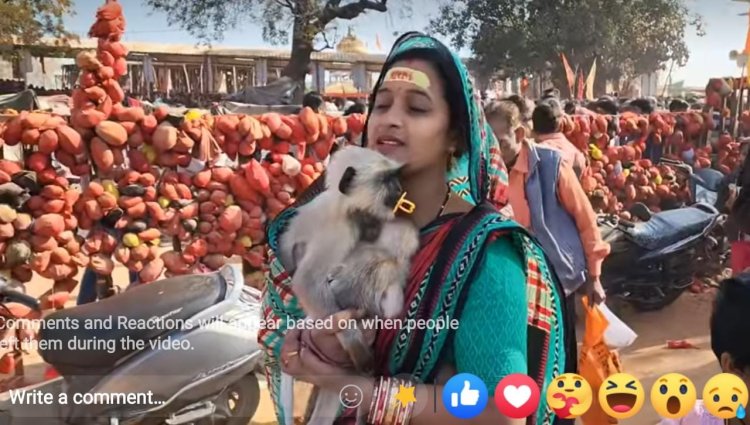 ସୋସିଆଲ ମିଡ଼ିଆ ରେ ମାଙ୍କଡ ଦେଖେଇ  ଟଙ୍କା ରୋଜଗାର କରୁଛନ୍ତି ଭଦ୍ର ଦମ୍ପତି