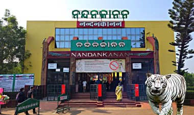 ଗୋଟିଏ ଖୁଆଡ଼ରେ ସିଂହ,ଭାଲୁ,ଗଧିଆ