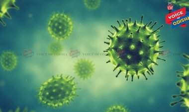 Odisha sees 100+ Covid infections, active cases jump to 429