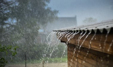 ପଶ୍ଚିମା ଝଡ ସକ୍ରିୟ, ଦୁଇ ଦିନ ପ୍ରବଳ ବର୍ଷା