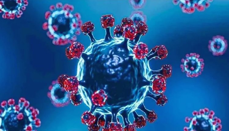 କୋଭିଡ୍‌-୧୯ : ୨୪ ଘଣ୍ଟାରେ ୧୦,୭୫୩ ଆକ୍ରାନ୍ତ ରେକର୍ଡ