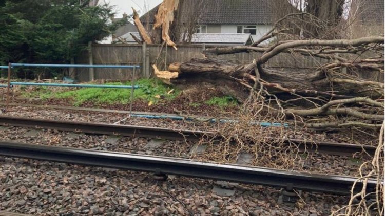 ଝଡ଼ ବର୍ଷାରେ ଭାଙ୍ଗିଲା ଗଛ, ରେଳ ଚଳାଚଳ ବାଧାପ୍ରାପ୍ତ