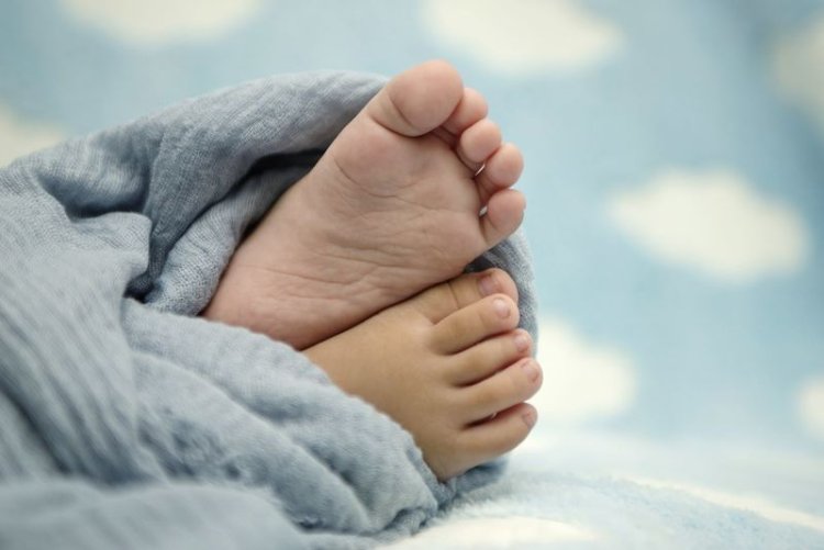 ଏକବର୍ଷର ଶିଶୁକନ୍ୟାକୁ ଦଳିଦେଲା ହାତୀ