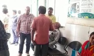 Man Killed, grandson Injured In Bee Attack in Odisha