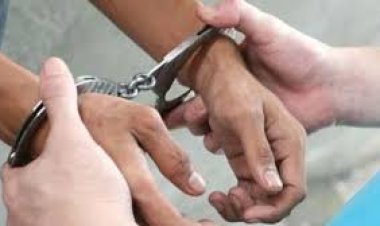 ବନବିଭାଗର ଚଢ଼ାଉ, ଦେଶୀ ବନ୍ଧୁକ ସହ ୨ ଶିକାରୀ ଗିରଫ