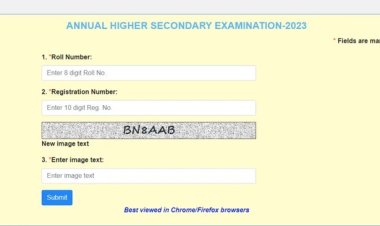 Technical glitches hit CHSE Plus-II results checking platforms