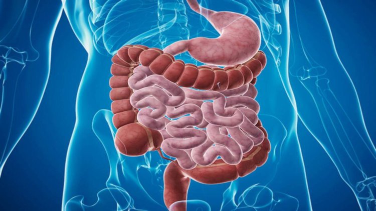 ଖାଇବା ପରେ ଗାଧୋଇବା ଉଚିତ୍ ନୁହେଁ କାହିଁକି ?