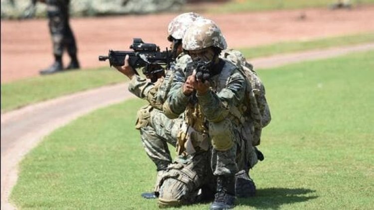 ନକ୍ସଲ ନିପାତ ପାଇଁ ନିୟୋଜିତ ହେବେ କମାଣ୍ଡୋ