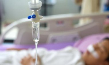 ବଣ କୋଳି ଖାଇ ୫ ନାବାଳକ ଅସୁସ୍ଥ