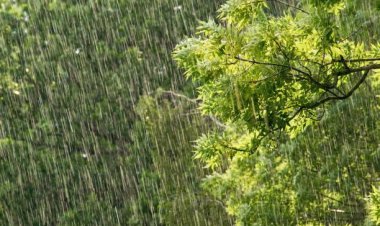 ଧୋକା ଦେଉଛି ମୌସୁମୀ