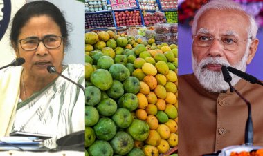 ମୋଦିଙ୍କୁ ଆମ୍ବ ପଠାଇଲେ ମମତା