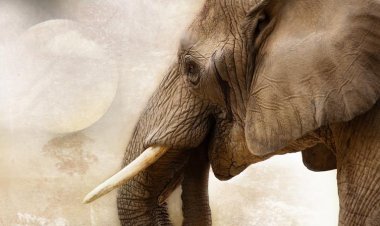 ଯୁବକଙ୍କୁ ଦଳିଦେଲା ଦନ୍ତା