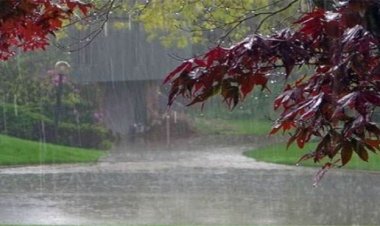 ୭ ଜିଲ୍ଲାରେ ପ୍ରବଳରୁ ଅତି ପ୍ରବଳ ବର୍ଷା