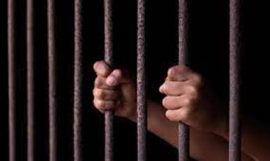 ଫରେଷ୍ଟରଙ୍କୁ ଗୁଳି କରି ହତ୍ୟା ମାମଲା, ୧୦ ଶିକାରୀ ଗିରଫ