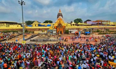 Thousands throng Puri to have Naba Jauban Darshan of Lord Jagannath, siblings