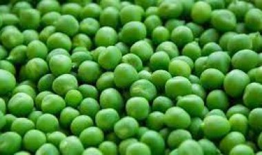 ଅଣ୍ଡା ଠାରୁ ଅଧିକ ପ୍ରୋଟିନ୍‌‌ ଏହି ୩ଟି ଖାଦ୍ୟ : ସ୍ୱାସ୍ଥ୍ୟ ପାଇଁ ଲାଭଦାୟକ..