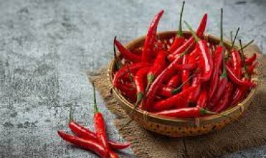 ଆଜ୍‌ମାର କାରଣ ହୋଇପାରେ ଲାଲ୍‌ ଲଙ୍କା, ଜାଣନ୍ତୁ ଶରୀର ପାଇଁ କେତେ କ୍ଷତିକାରକ