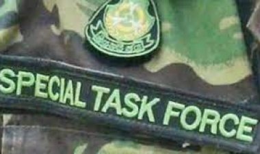 ଏସ୍‌ଟିଏଫ୍‌ର ଚଢ଼ାଉ: ୬ ଦେଶୀ ବନ୍ଧୁକ ଜବତ, ଜଣେ ଗିରଫ