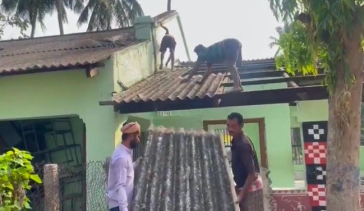 Odisha Train mishap: Demolition of Bahanaga High School underway