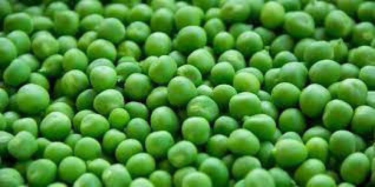 ଅଣ୍ଡା ଠାରୁ ଅଧିକ ପ୍ରୋଟିନ୍‌‌ ଏହି ୩ଟି ଖାଦ୍ୟ : ସ୍ୱାସ୍ଥ୍ୟ ପାଇଁ ଲାଭଦାୟକ..