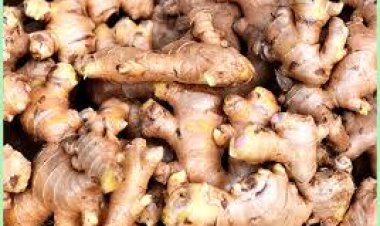 ଦର ଲଗାମ ଛଡ଼ା: ଅଦା କିଲୋ ୩୦୦ ଟଙ୍କା