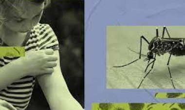 ଡେଙ୍ଗୁ : ଭୁବନେଶ୍ୱରର ୧୦ ଅଞ୍ଚଳ ରେଡ୍‌ ଜୋନ୍‌