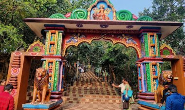 ଶିଖରଚଣ୍ଡୀପ୍ରସଙ୍ଗ: ୨୭କୁ ଘୁଞ୍ଚିଲା ଗ୍ରୀନ୍‌ ଟ୍ରିବ୍ୟୁନାଲ ଶୁଣାଣି