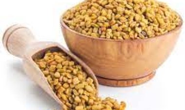 ରାତିରେ ଭିଜାଇ ସକାଳୁ ଖାଆନ୍ତୁ ମେଥି; ଅନେକ ସ୍ବାସ୍ଥ୍ୟଗତ ସମସ୍ୟାର ହେବ ସମଧାନ