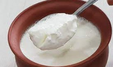 ଦହି, ପେଟ ପାଇଁ ଭଲ