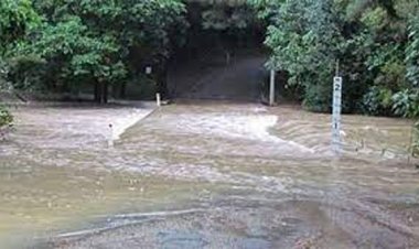 ମାଛଗାଁ କେନାଲ ବନ୍ଧରେ ଘାଇ