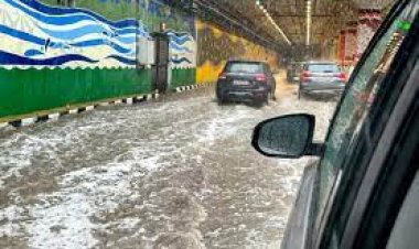 ମୌସୁମୀ ବର୍ଷା ନେଲାଣି ୬୨୪ ଜୀବନ