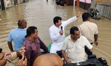 କୋଟିଏ ଟଙ୍କିଆ ଷଣ୍ଢ ଉଦ୍ଧାର