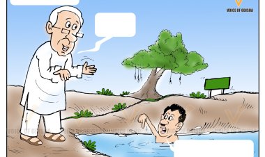 ଆମ ପୋଖରୀ ଯୋଜନା ରାଜନୀତି