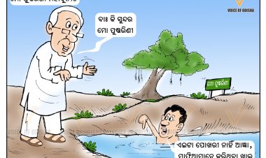 ପୋଖରୀ ଯୋଜନାରେ ମହାଦୁର୍ନୀତି