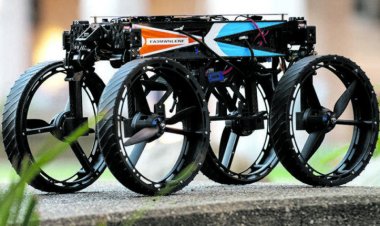 ରୋବର୍ଟର ଚକ ପାଲଟୁଛି ଡେଣା