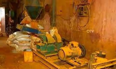 ମାଲଗୋଦାମରେ ନକଲି ମସଲା କାରଖାନା ଠାବ