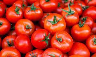 ଟମାଟୋ ବିକି ମାସକରେ ୧.୮ କୋଟି ରୋଜଗାର କଲେ ତେଲେଙ୍ଗାନା ଚାଷୀ