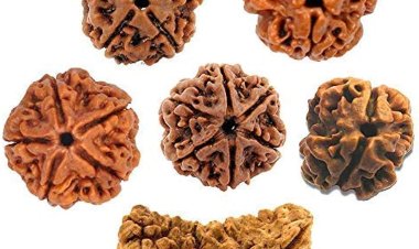 ଶୁଭଫଳ ପାଇଁ କେଉଁ ରାଶି ଅନୁସାରେ କେଉଁ ରୁଦ୍ରାକ୍ଷ ଧାରଣ କରିବେ