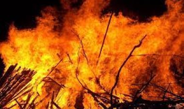 ରାଜଧାନୀରେ ଜଳିଗଲେ ଦମ୍ପତି