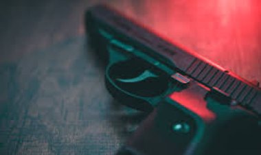 ପୁଣି ଶିମିଳିପାଳରୁ ୯ଟି ଦେଶୀ ବନ୍ଧୁକ ଜବତ