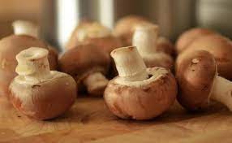 ବିଷାକ୍ତ ଛତୁ ଖାଇ ୭ ଜଣ ଅସୁସ୍ଥ