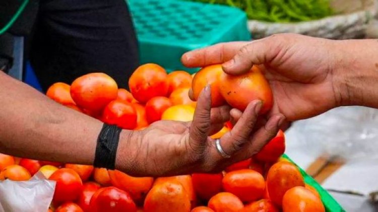 Man Dupes Vegetable Vendor, Buys Tomatoes By ‘Mortgaging’ 2 Minors In Cuttack