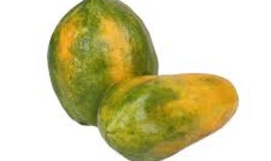 ବହୁ ରୋଗରୁ ରକ୍ଷା କରିଥାଏ କଞ୍ଚା ଅମୃତଭଣ୍ଡା