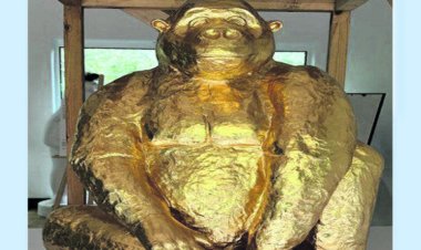 ୪୫ କିଲୋଗ୍ରାମର ଚକୋଲେଟ୍‌ ଗରିଲା ନିର୍ମାଣ