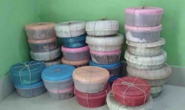 Couple arrested with 26 cobras in Balasore